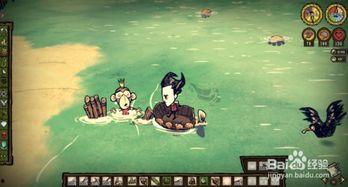 猴王吃瓜表演游戏视频,趣味横生的动物表演盛宴