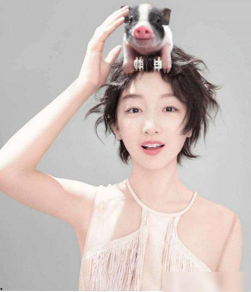 瑜系长相明星,揭秘瑜系明星的独特魅力