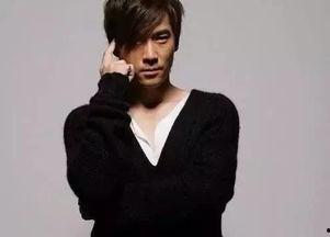 明星周边dl是什么,揭秘粉丝心中的梦幻收藏