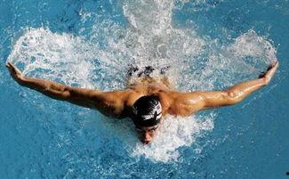 哪些明星游泳好过,盘点游泳健将的璀璨星辉