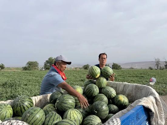 多角度看吃瓜,吃瓜群众的趣味与智慧