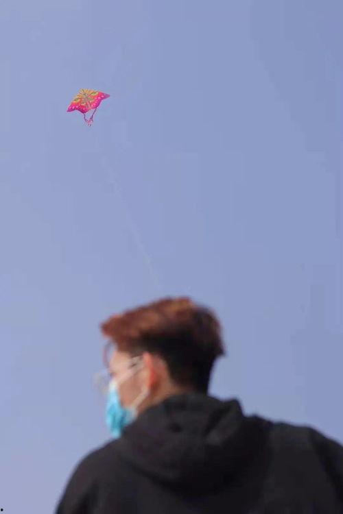 吃瓜偶尔追剧,轻松享受娱乐时光