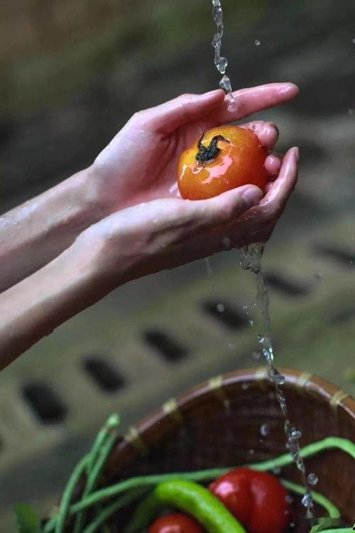 萤火虫都在吃瓜,揭秘它们与瓜果的奇妙缘分