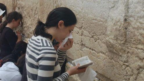 娱乐吃瓜君赵薇,娱乐吃瓜界的风云人物